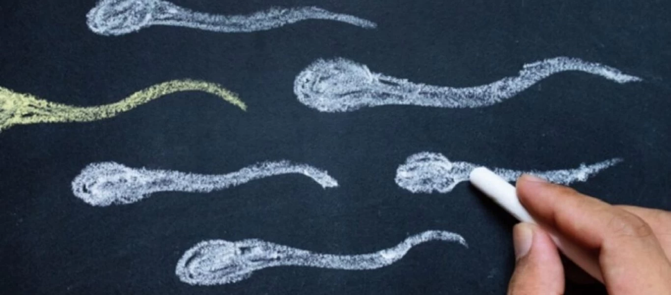 Τι είναι τα προσπερματικά υγρά και πως συνδέονται με την εγκυμοσύνη